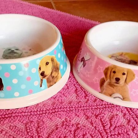 カルデードゥ La Conchiglietta Bluヴィラ エクステリア 写真